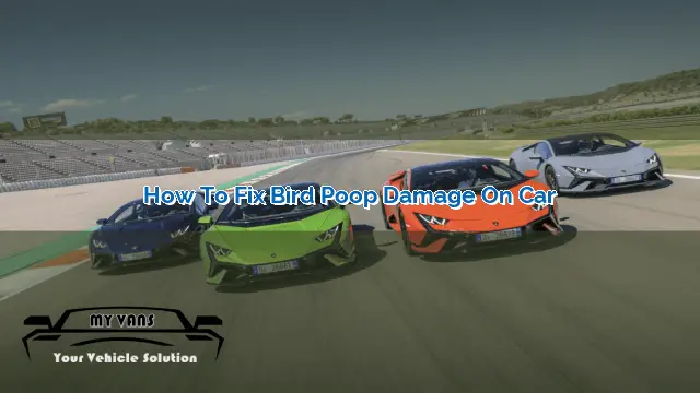 can you fix bird poop damage on car