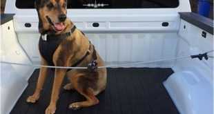 How To Secure Dogs In Truck Bed: Ensuring Safety On The Road