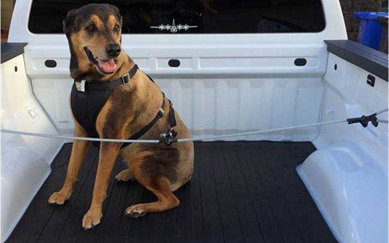 How To Secure Dogs In Truck Bed: Ensuring Safety On The Road