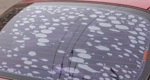 New Tint Has Bubbles: A Troublesome Trend For Vehicle Owners