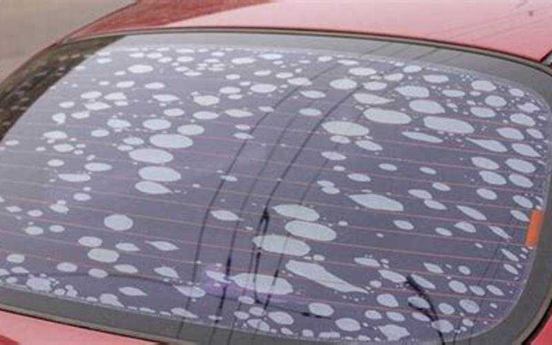 New Tint Has Bubbles: A Troublesome Trend For Vehicle Owners