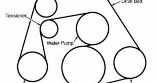 Exploring The Ford Focus Serpentine Belt Diagram: A Comprehensive Guide